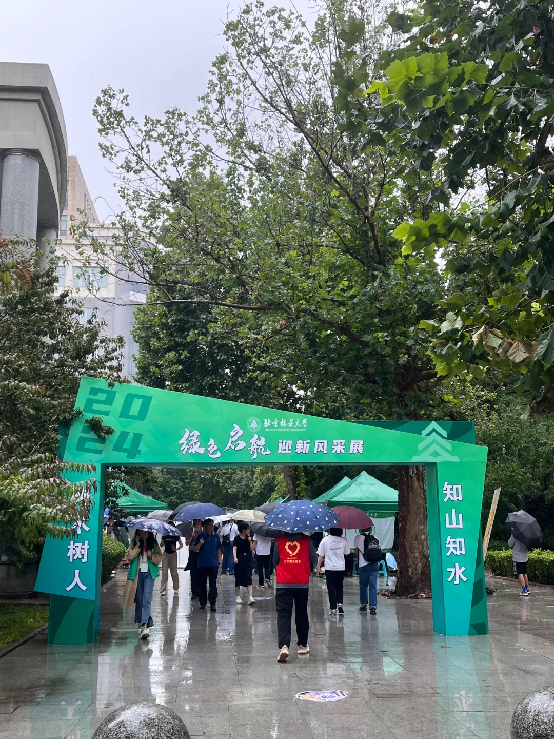 两个半月三跨上岸北林林业专硕（开学篇）