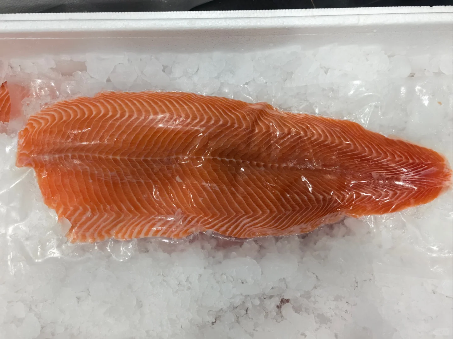 好好学习，认真卖鱼