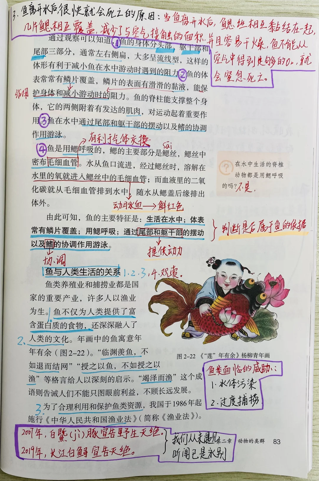 新人教版初中生物七上脊椎动物2.2.2.1鱼