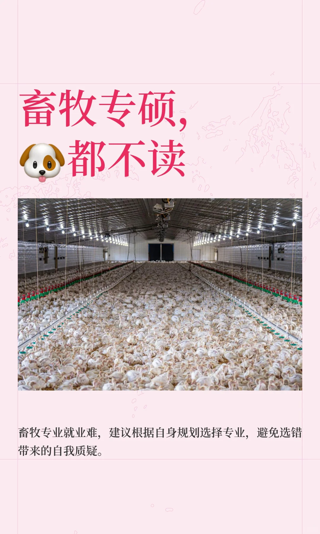 畜牧专硕，🐶都不读