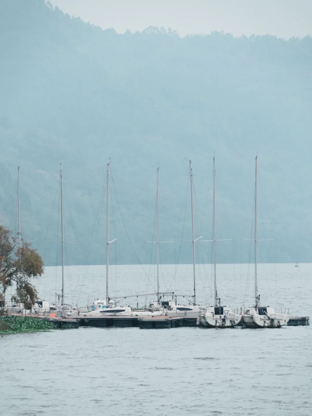 渔业村-小桐州村｜Day 8