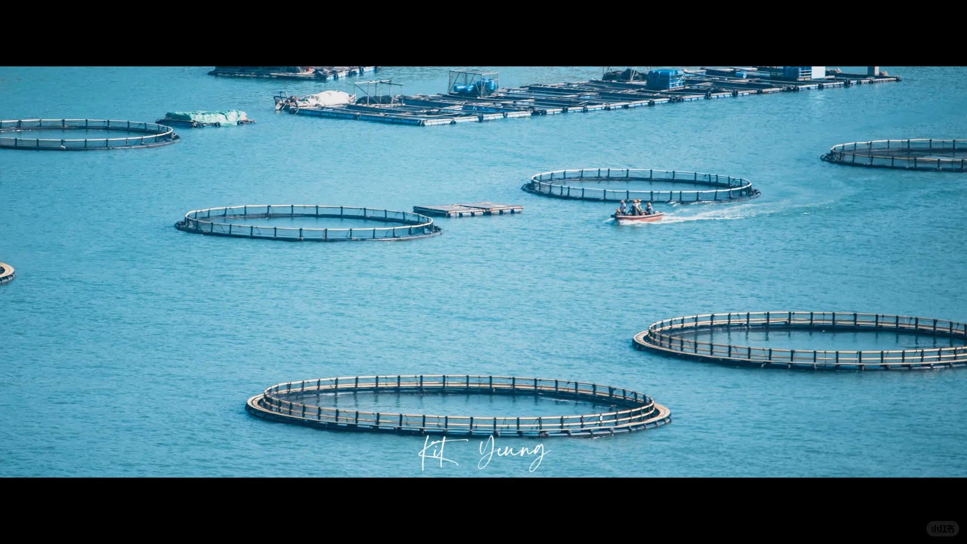 这里有海有山有鱼🌊🏝|桂山岛