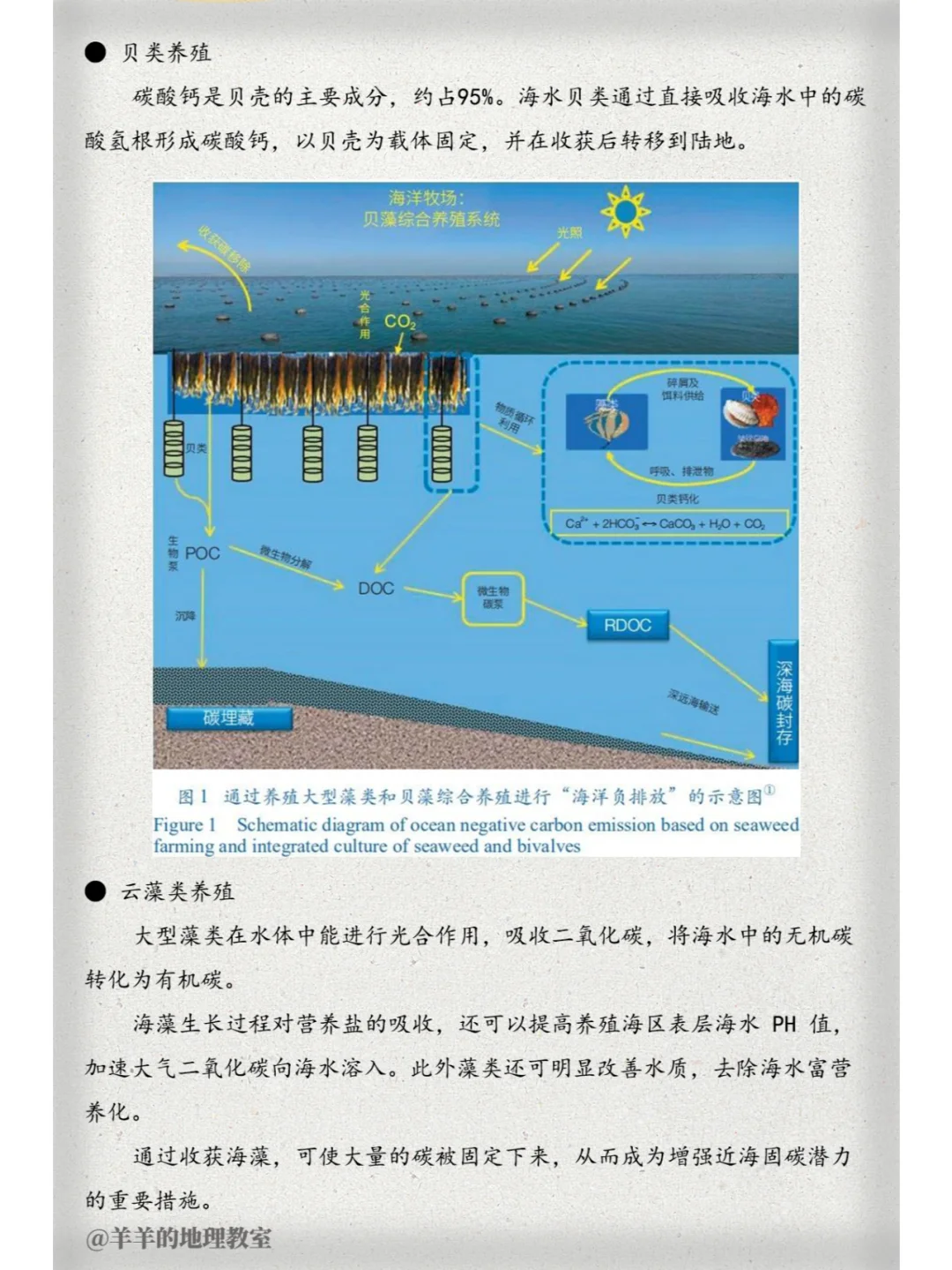 什么？发展渔业竟然还能固碳？【图文笔记】