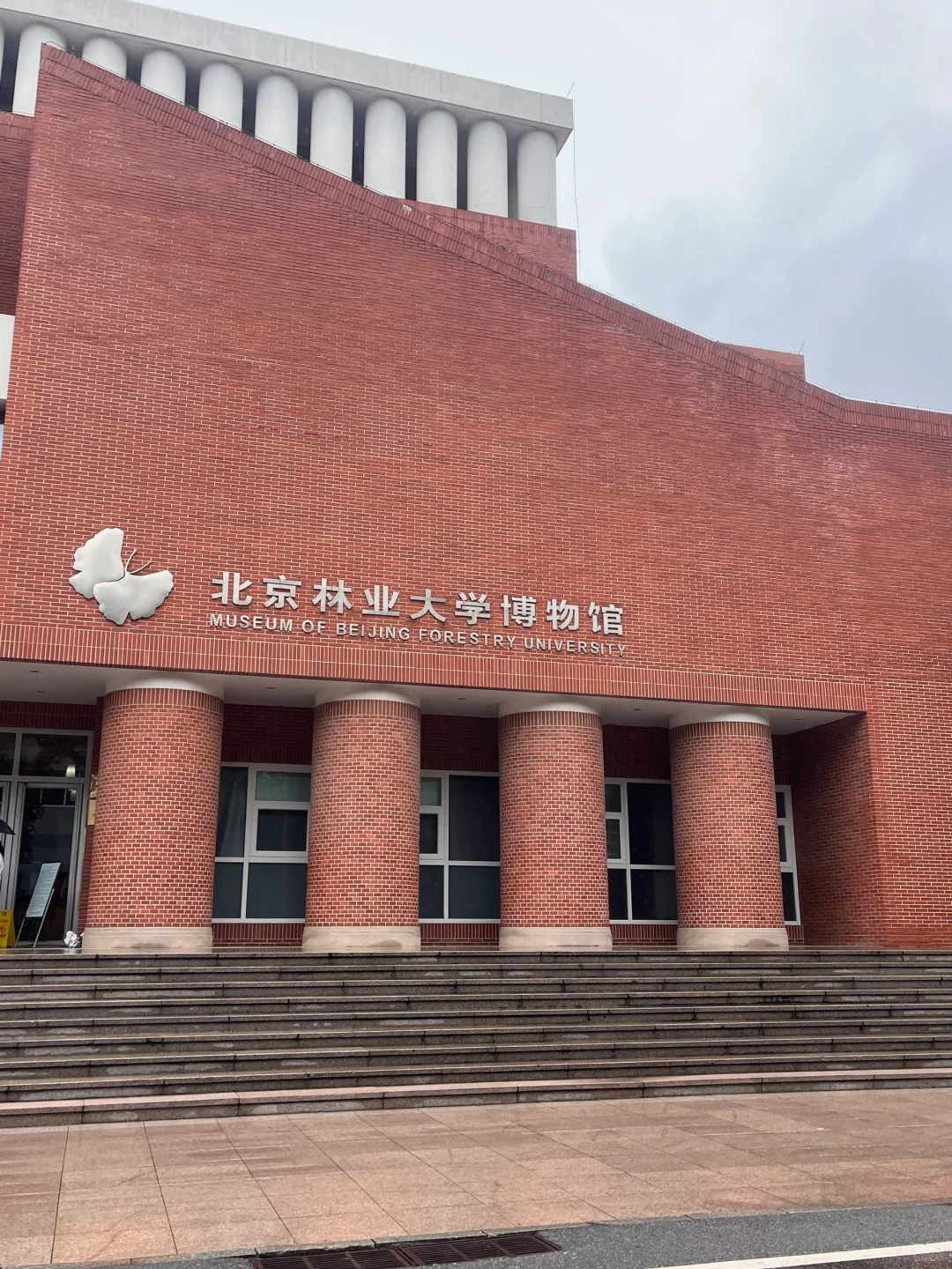 两个半月三跨上岸北林林业专硕（开学篇）