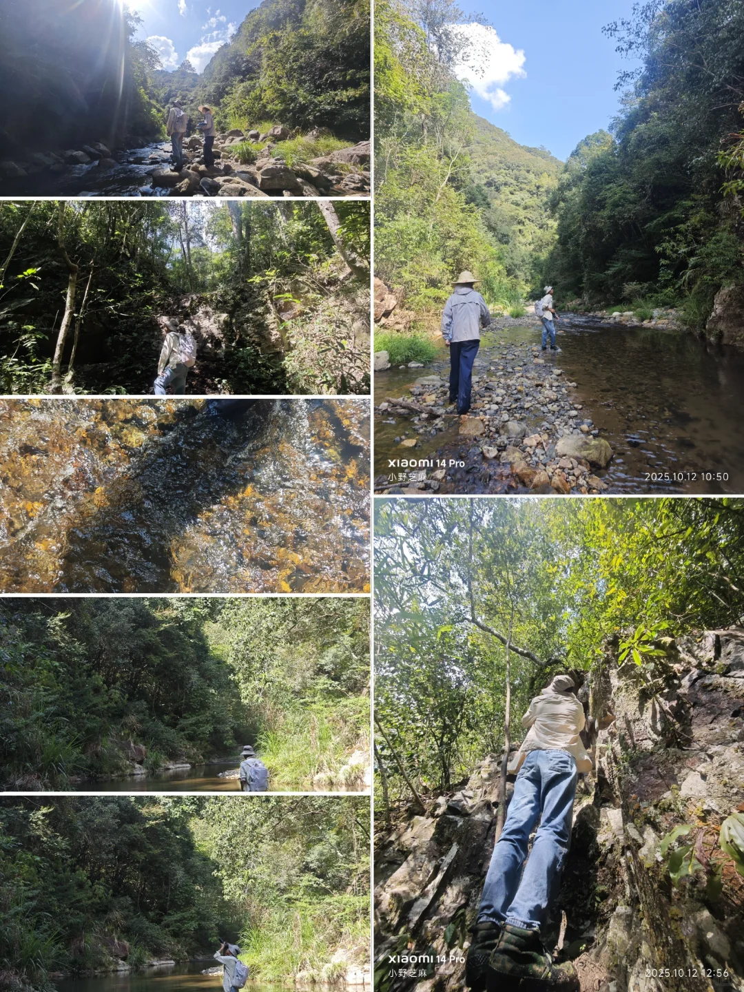 林学的博士是这样出野外的