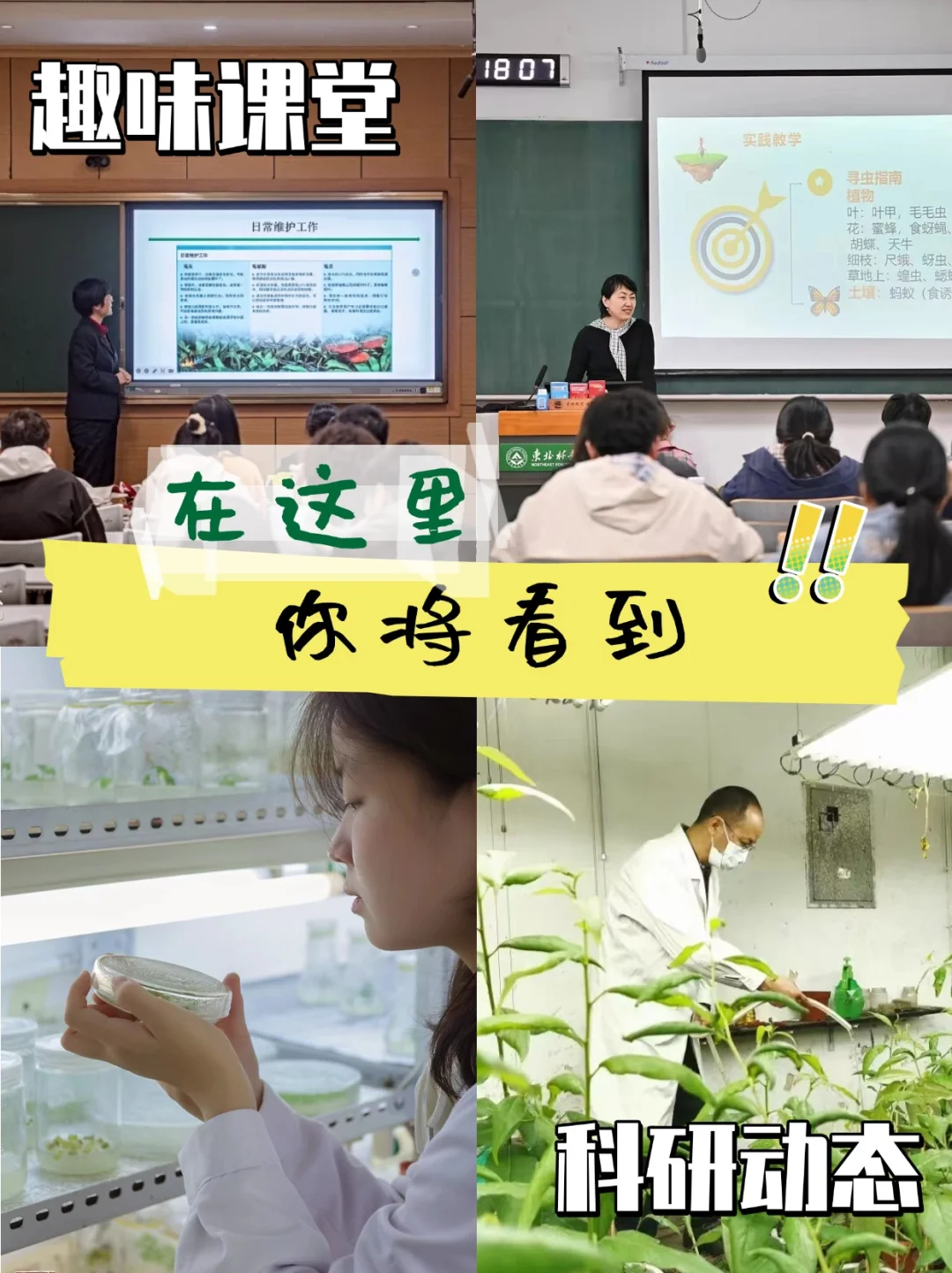 东北林业大学正式入驻小红书啦！