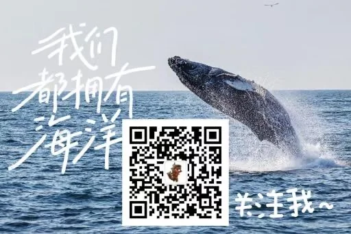 三文鱼养殖成本、利润和税收