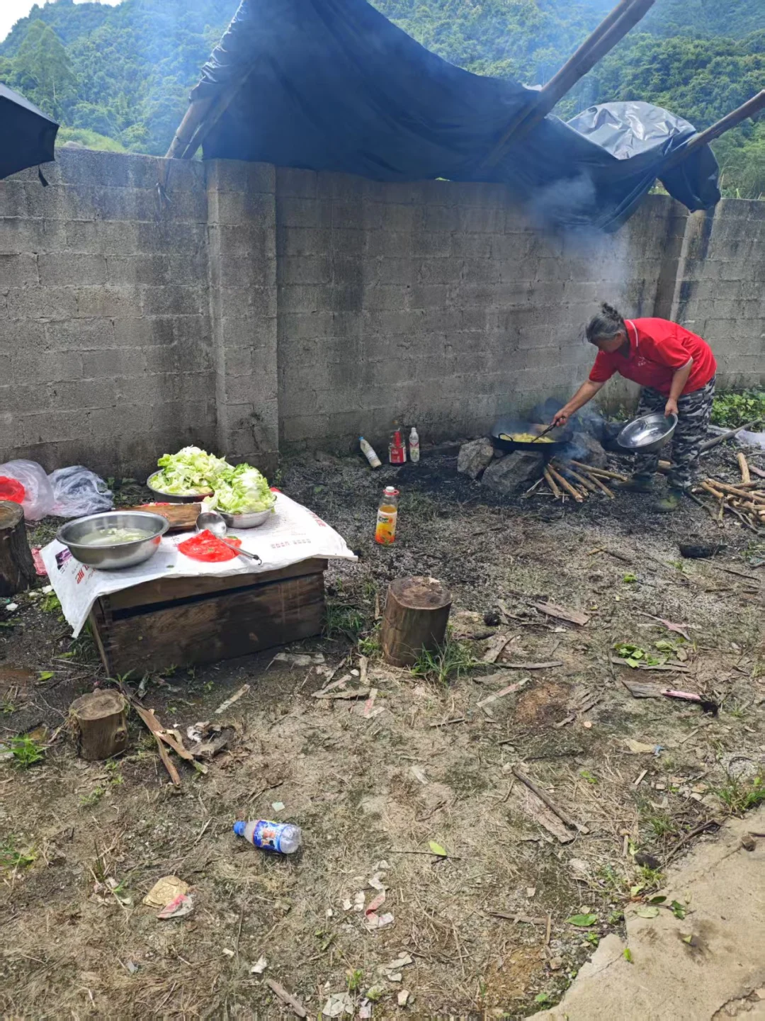 🌲坦白局 | 学林学/进林场？我劝你想清楚