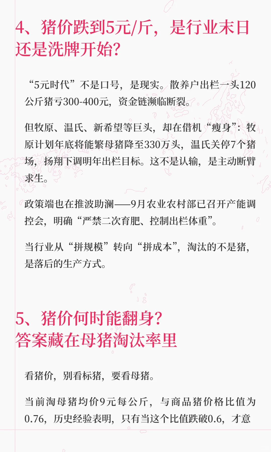 生猪行业真要“内卷到死”了吗？『生猪行情