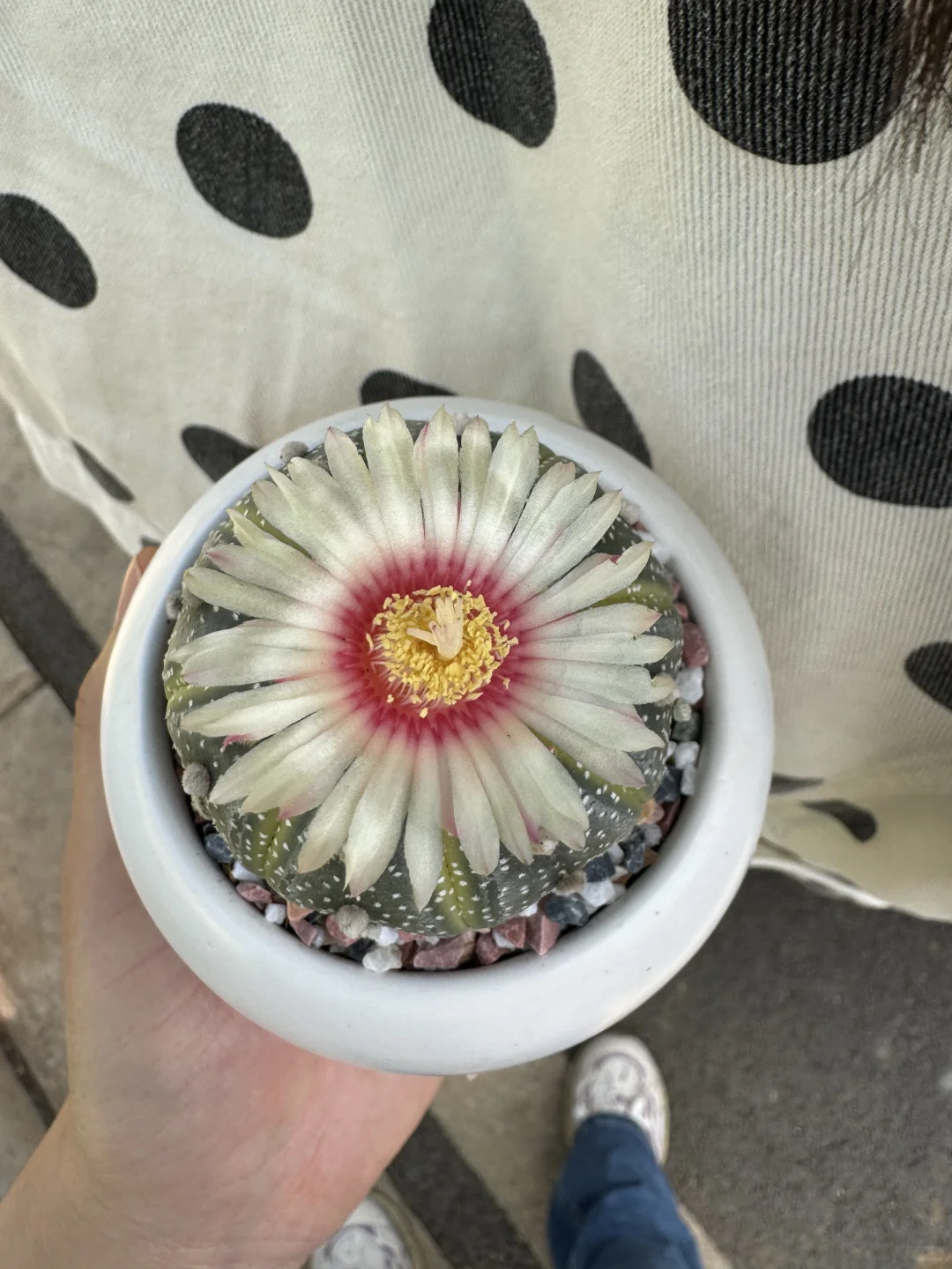 乡镇林业站工作日常｜在现实版的云边镇过秋