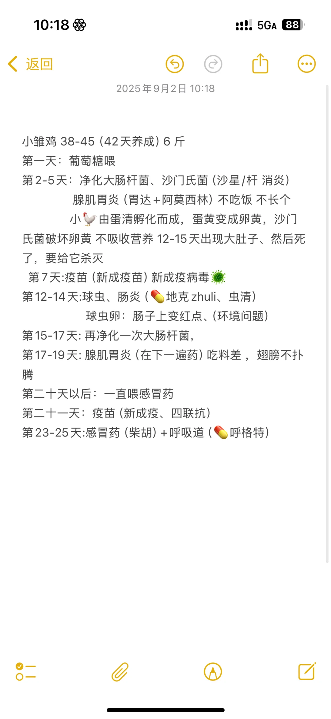 98年女生勇闯畜牧业的一天