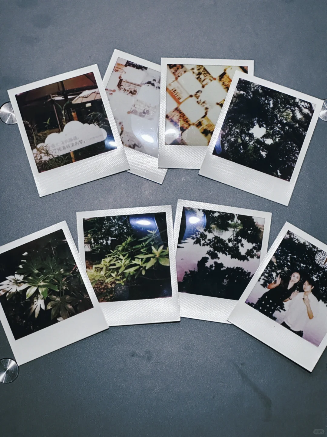 我在林学院失业但快乐的日子。