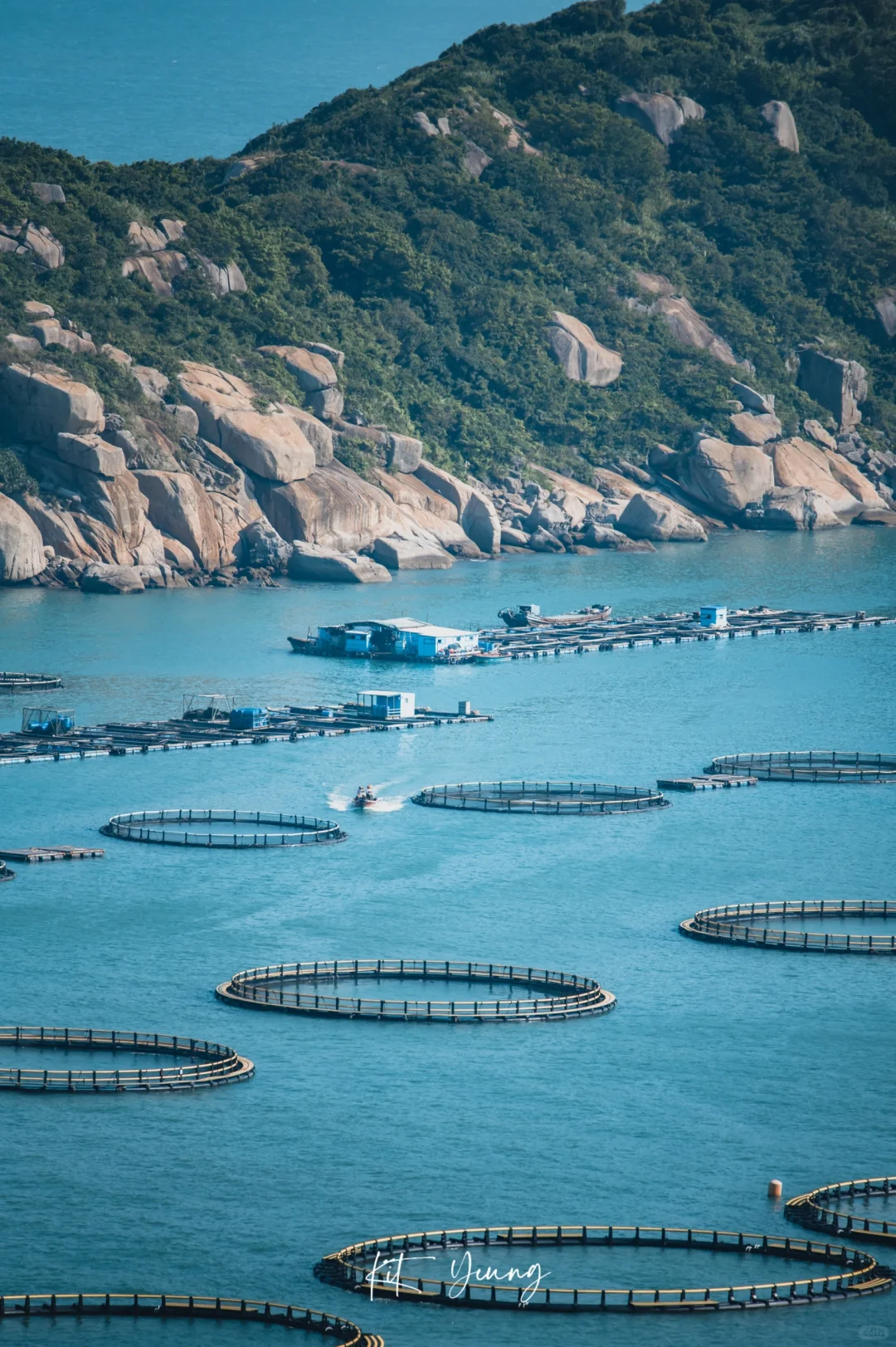 这里有海有山有鱼🌊🏝|桂山岛