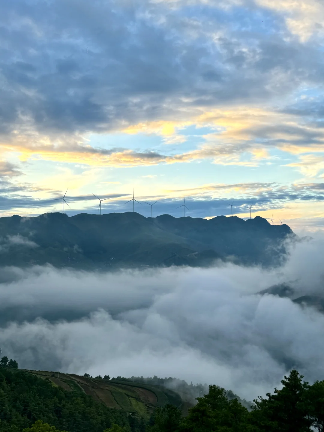 乡镇林业站工作日常｜在现实版的云边镇过秋