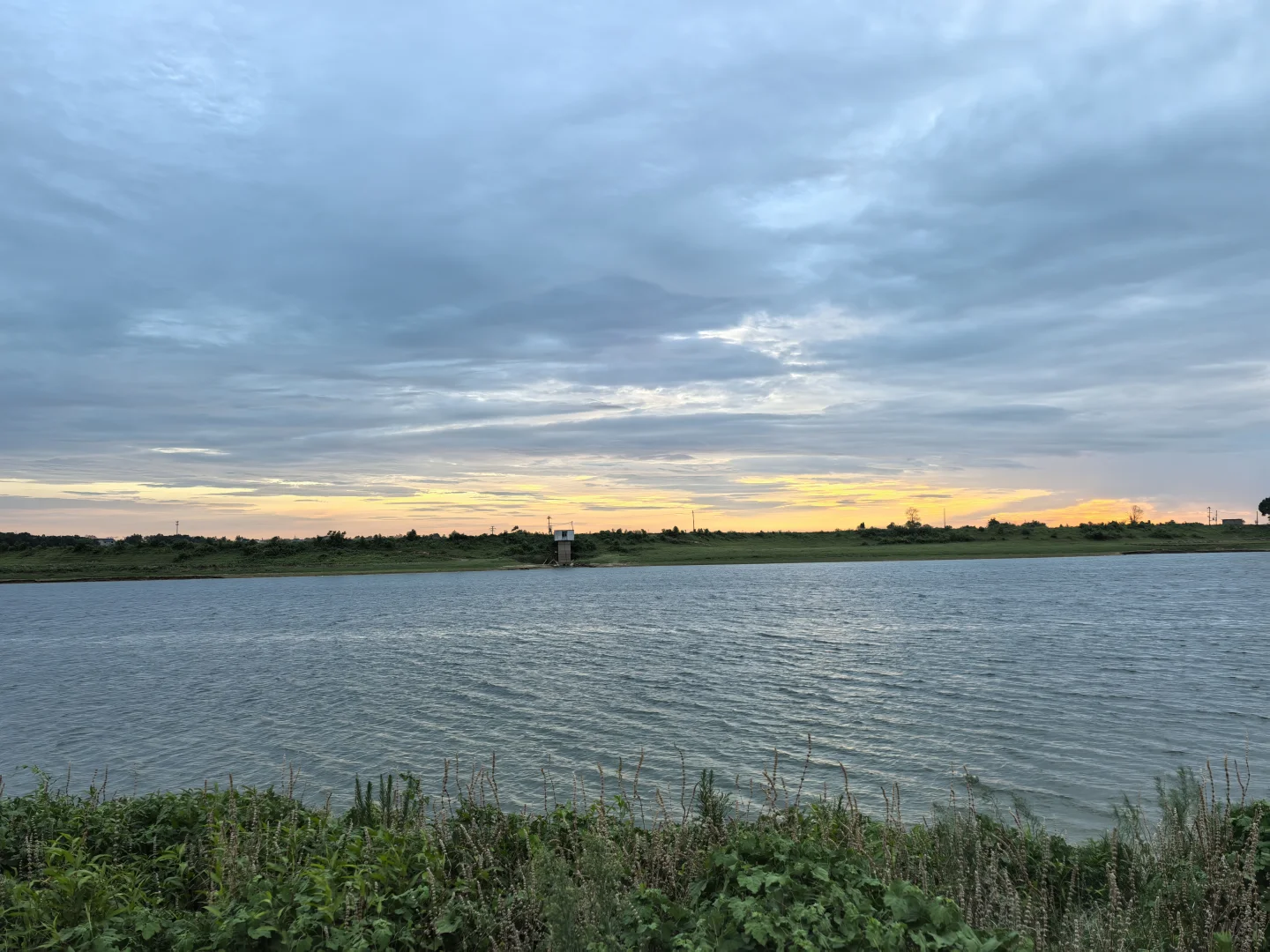 林业调查女生！今天是去赶野味的野人！