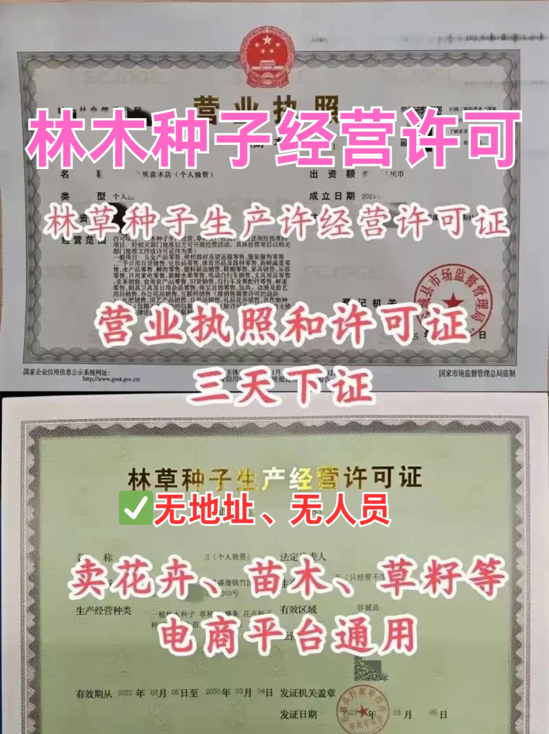 办理一套林木种子经营许可，3天就到手了❗