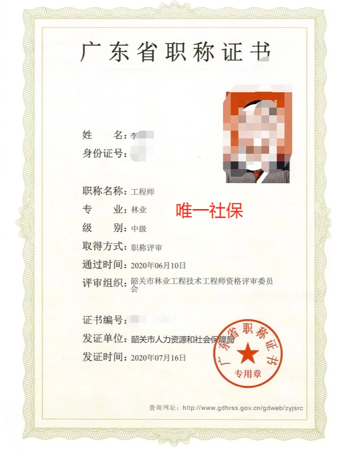 广东林业高级，中级，助理工程师