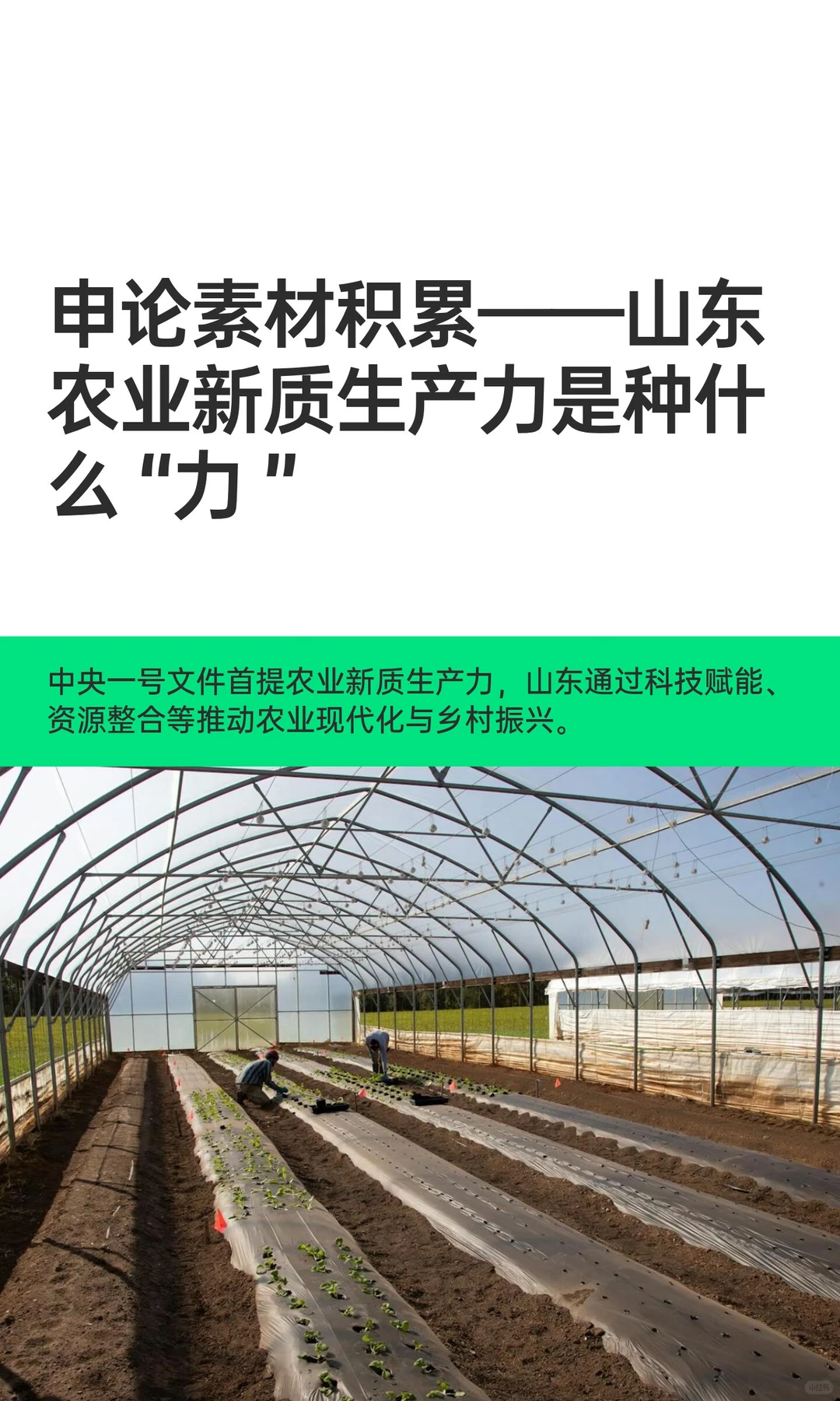 申论素材积累——山东农业新质生产力是种什