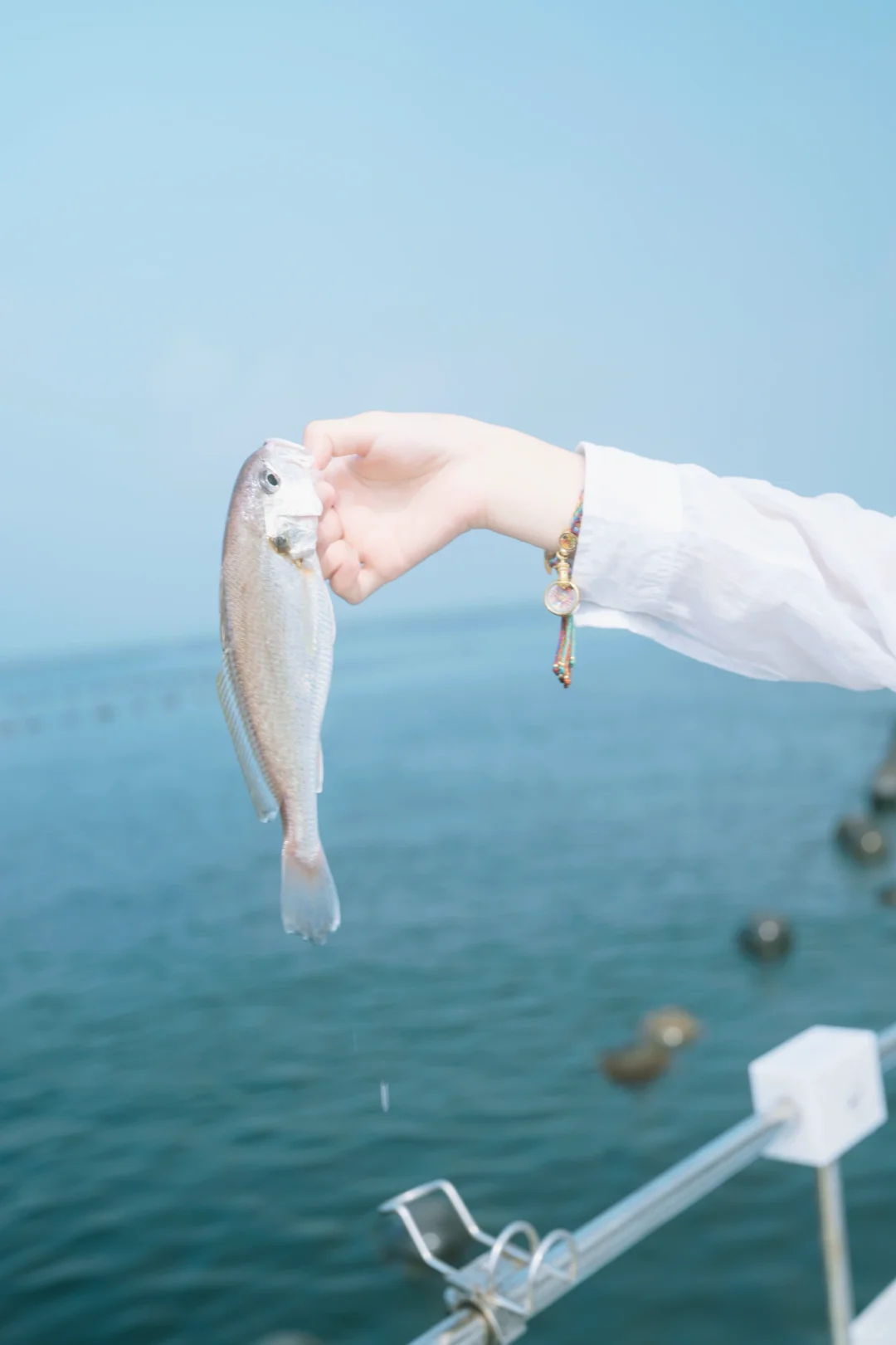 烟台海钓人均198+，能玩3️⃣小时👏👏