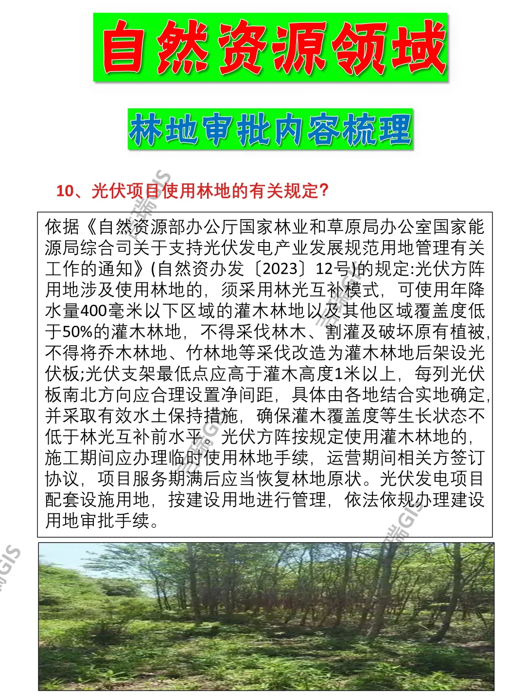 有关林地使用审批内容的梳理