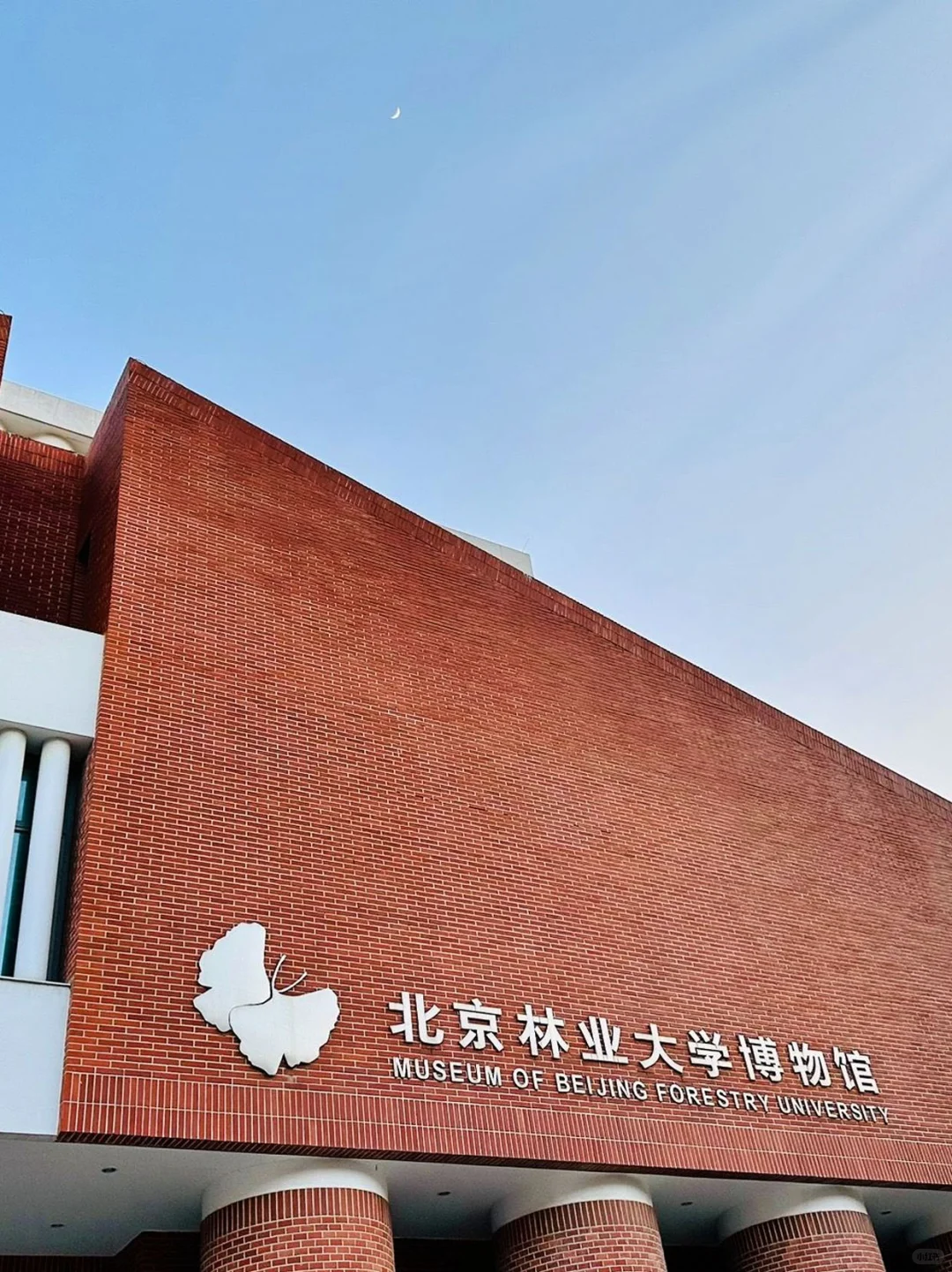 北京林业大学是疯了吗？？