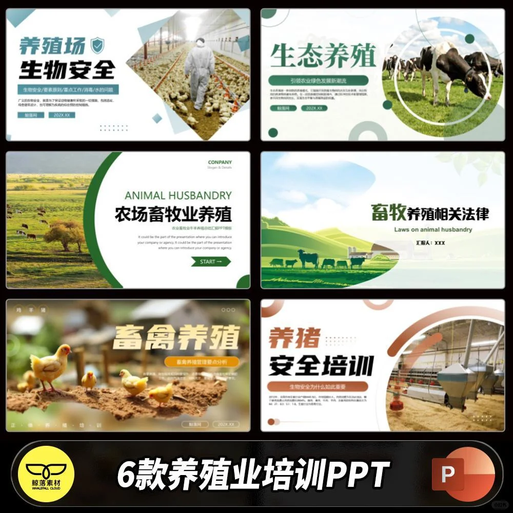 🌟PPT模板太香了！生态养殖必备！