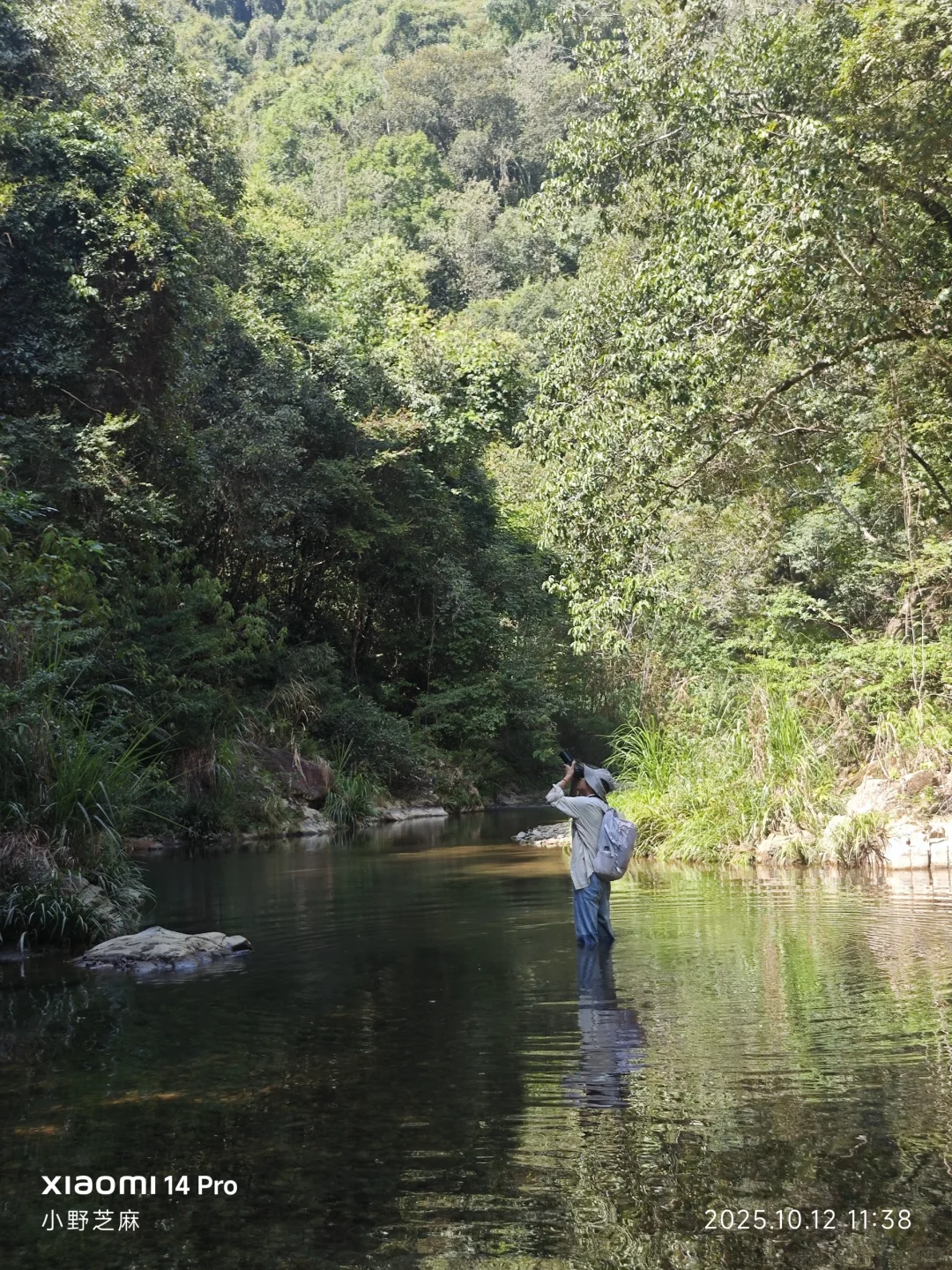 林学的博士是这样出野外的