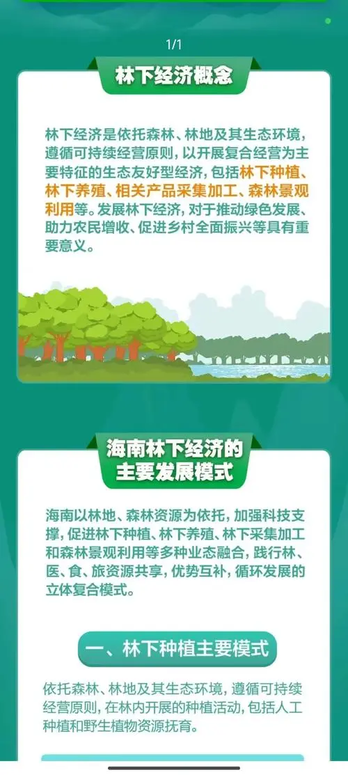 高中地理知识：林下经济🌲