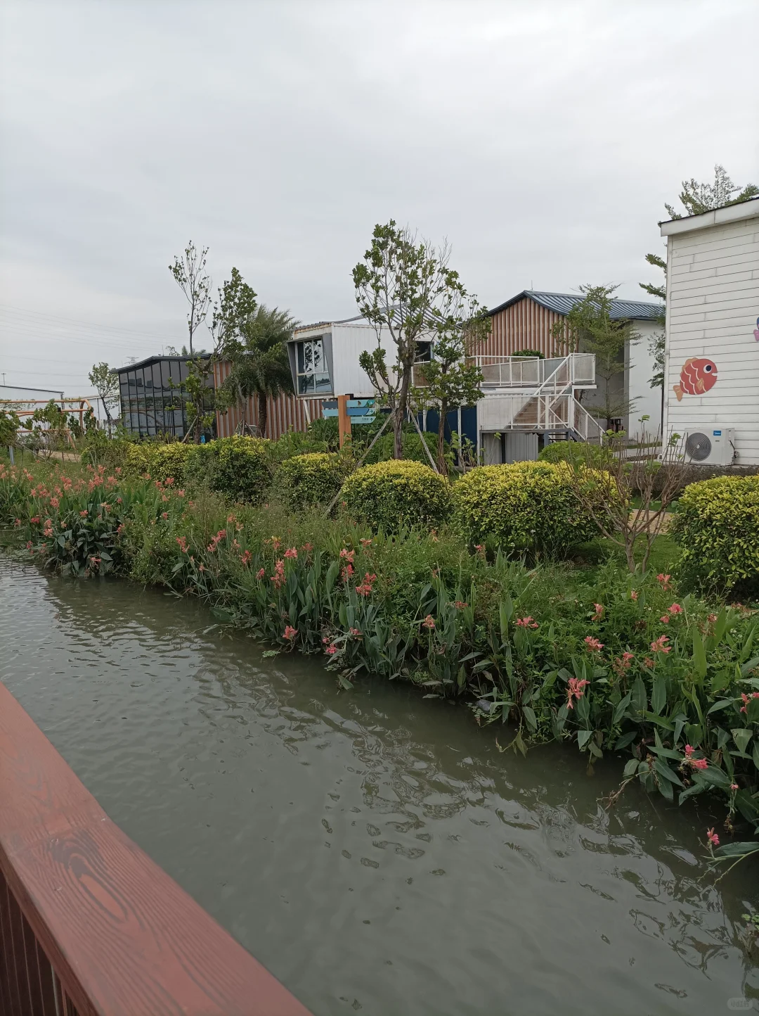 南沙美丽渔场专养蟹中茅台！万亩鱼虾蟹园区