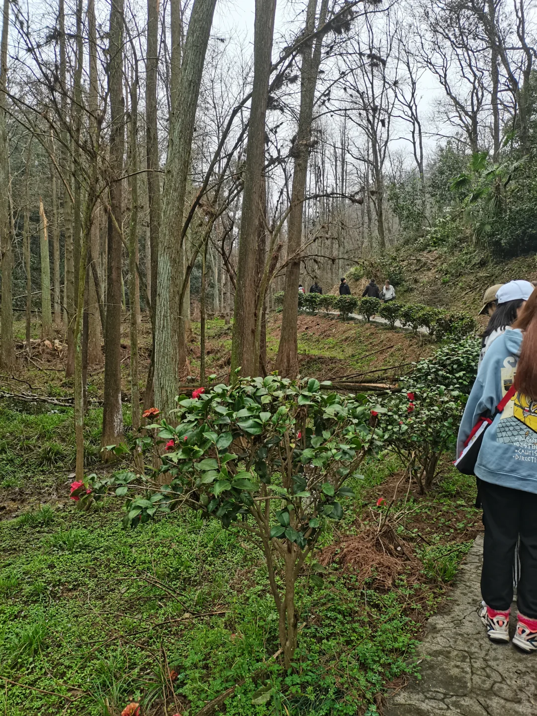 林学人是真的拿命学，别卷林业了