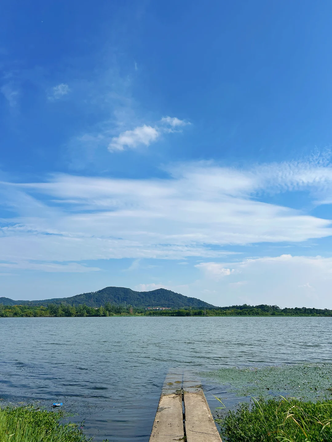 武汉蔡甸有个爆火的“济州岛”小村庄你知道吗