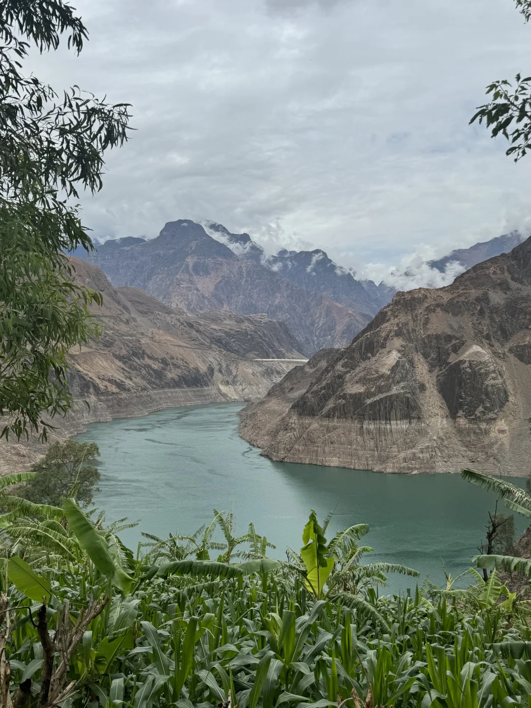 乡镇林业站工作日常｜在现实版的云边镇过秋