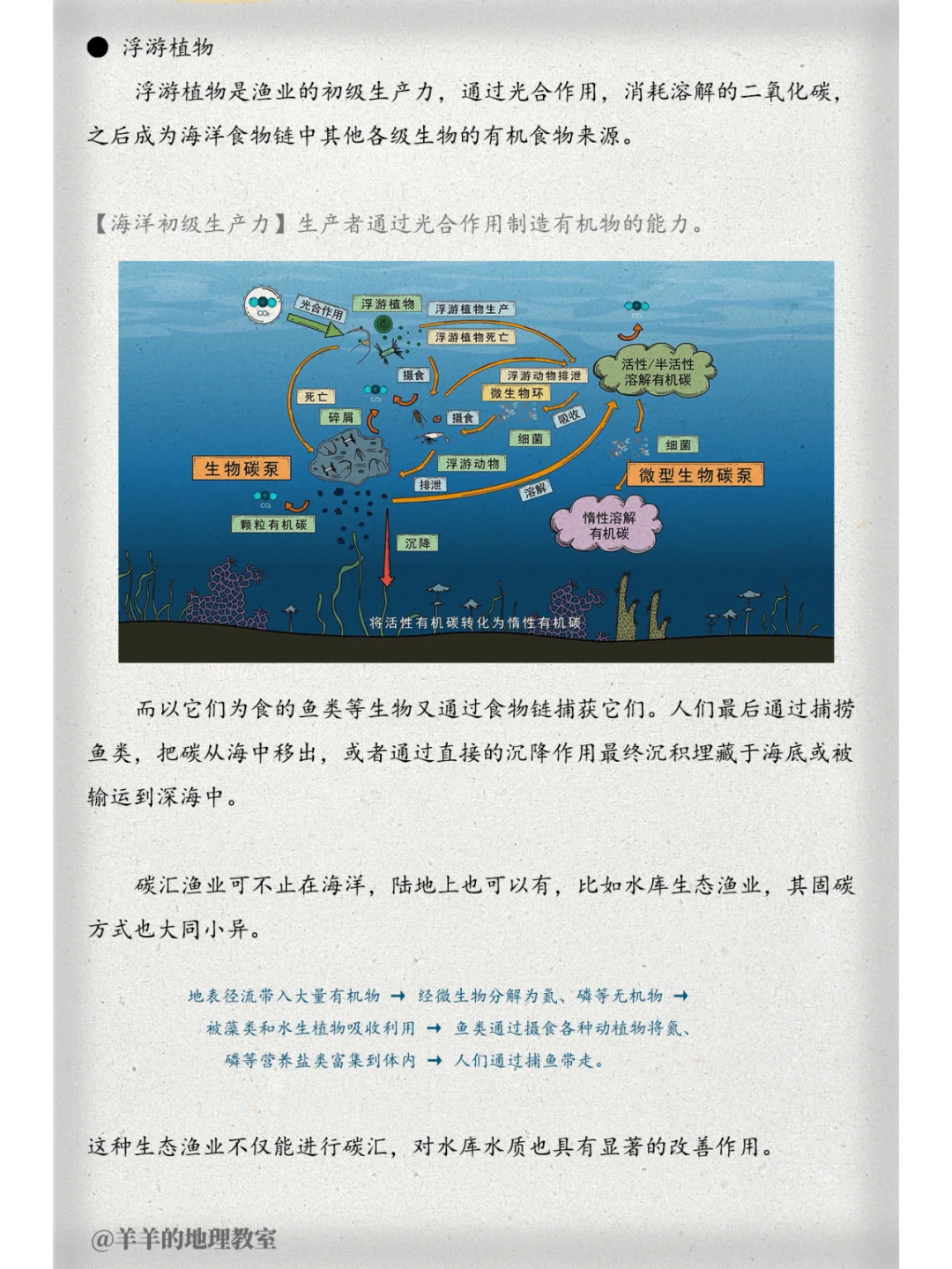 什么？发展渔业竟然还能固碳？【图文笔记】