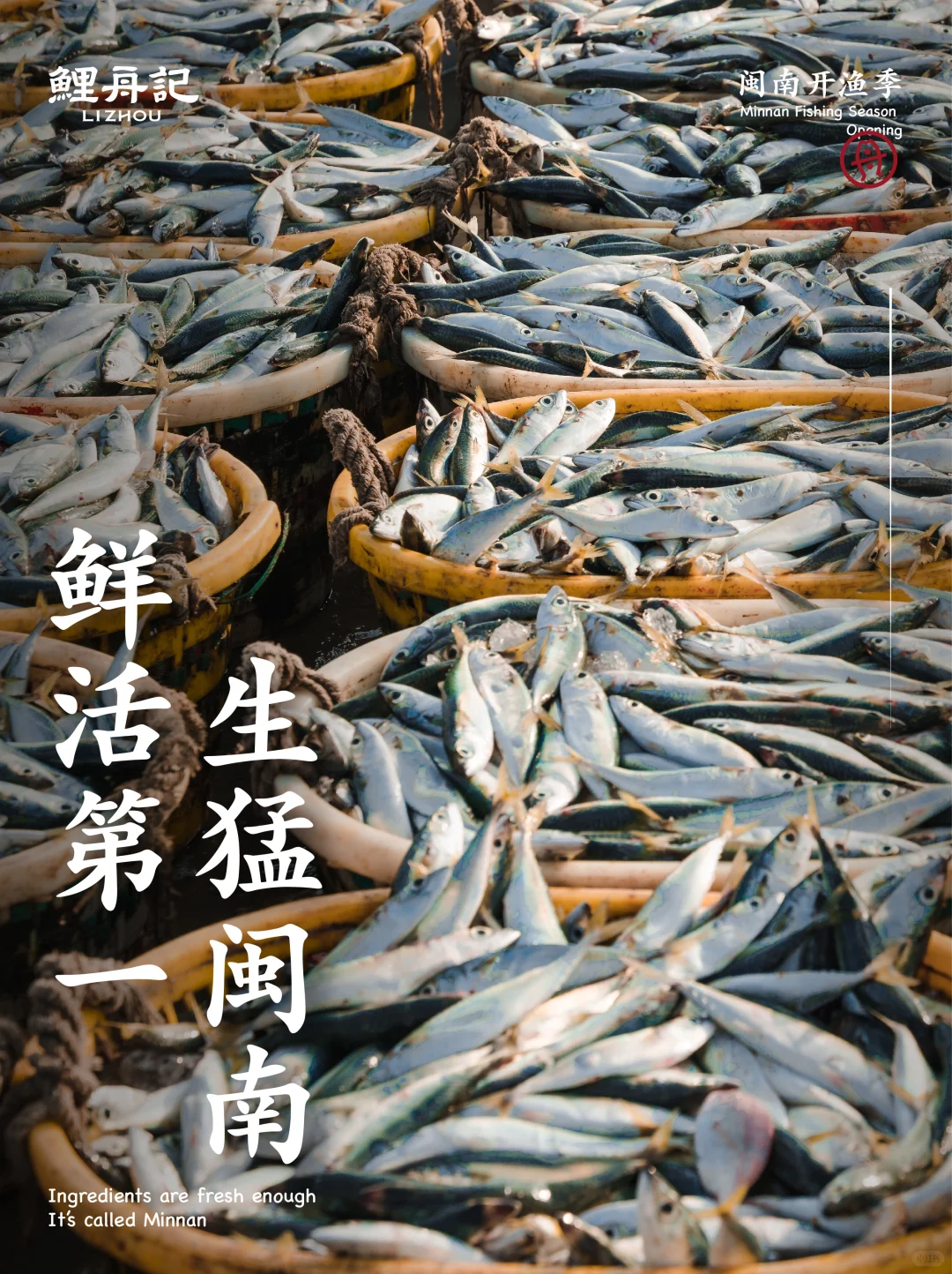 8.16开渔节，追丰收的第一网鲜