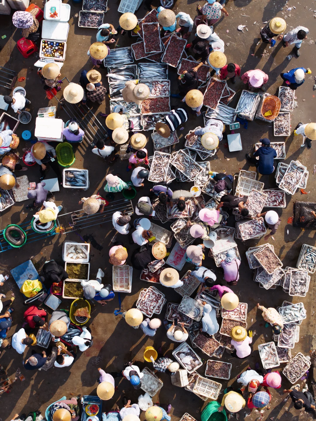 開漁尝鲜｜渔民的秩序美学