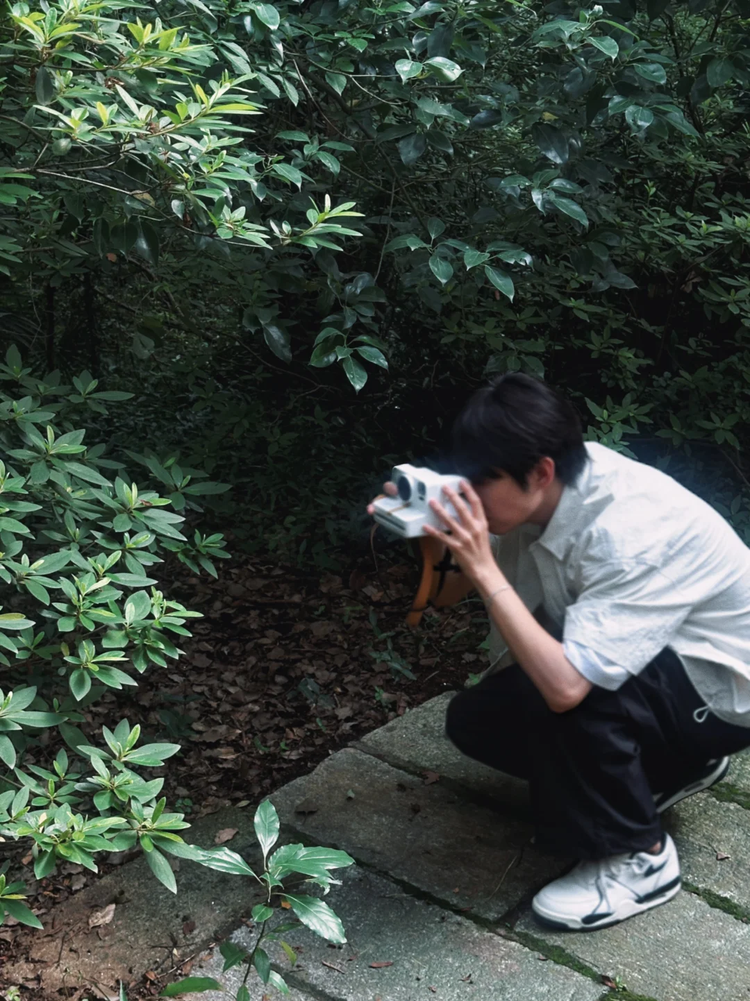 我在林学院失业但快乐的日子。