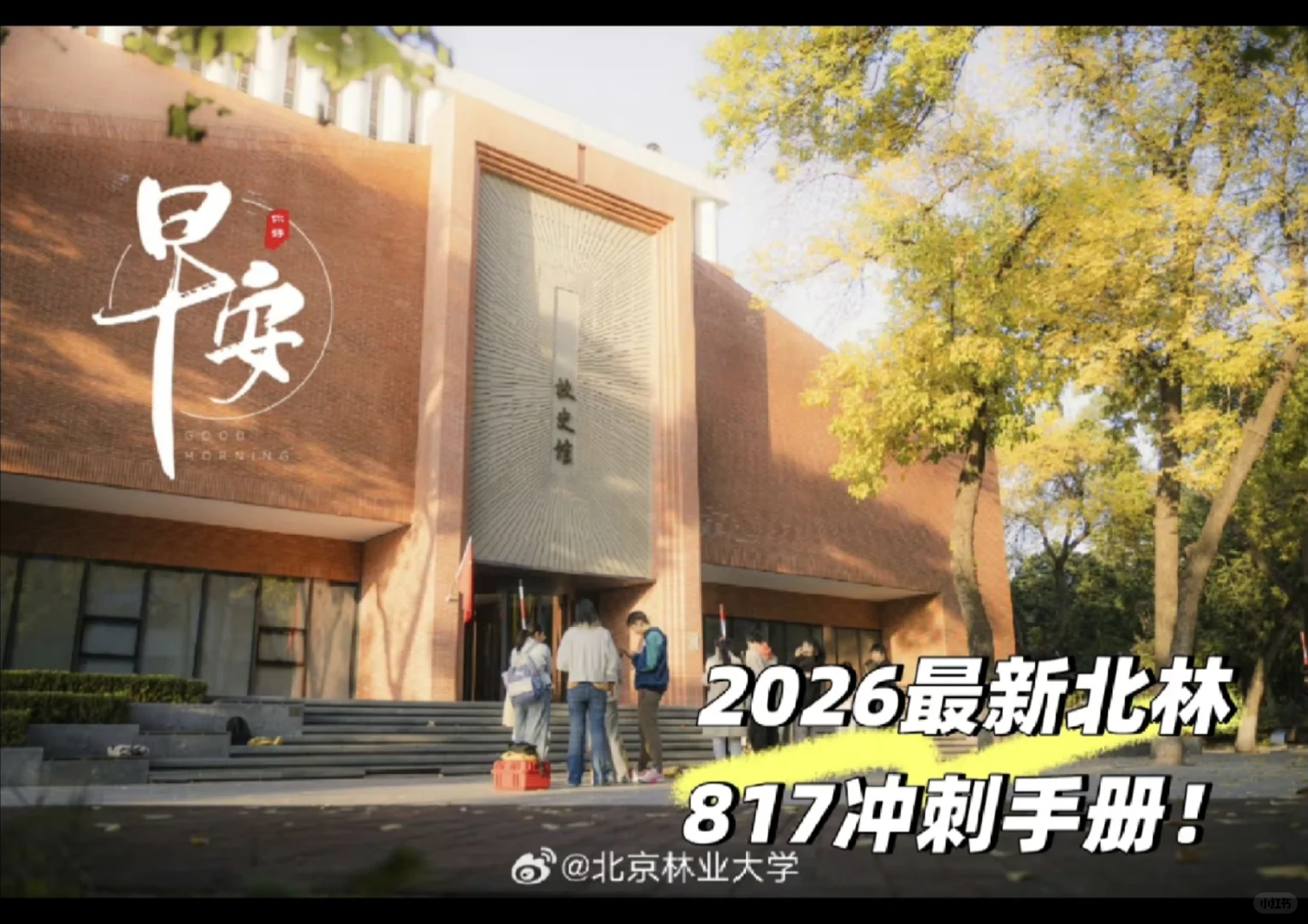 北京林业大学817环境科学与工程/资源与环境
