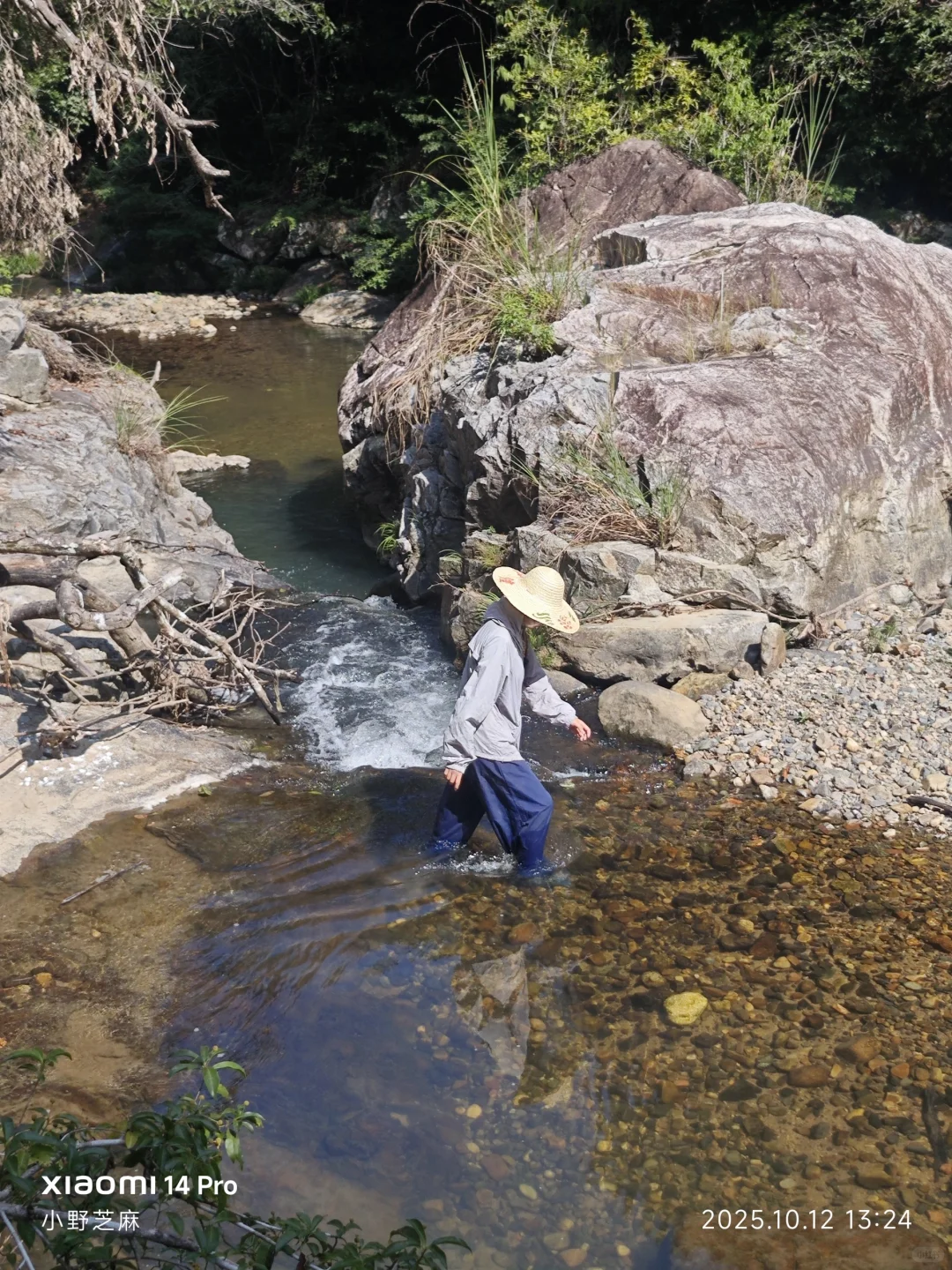 林学的博士是这样出野外的
