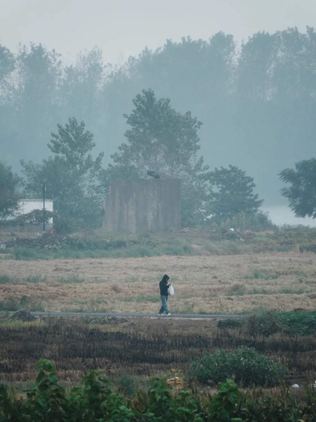 渔业村-小桐州村｜Day 8