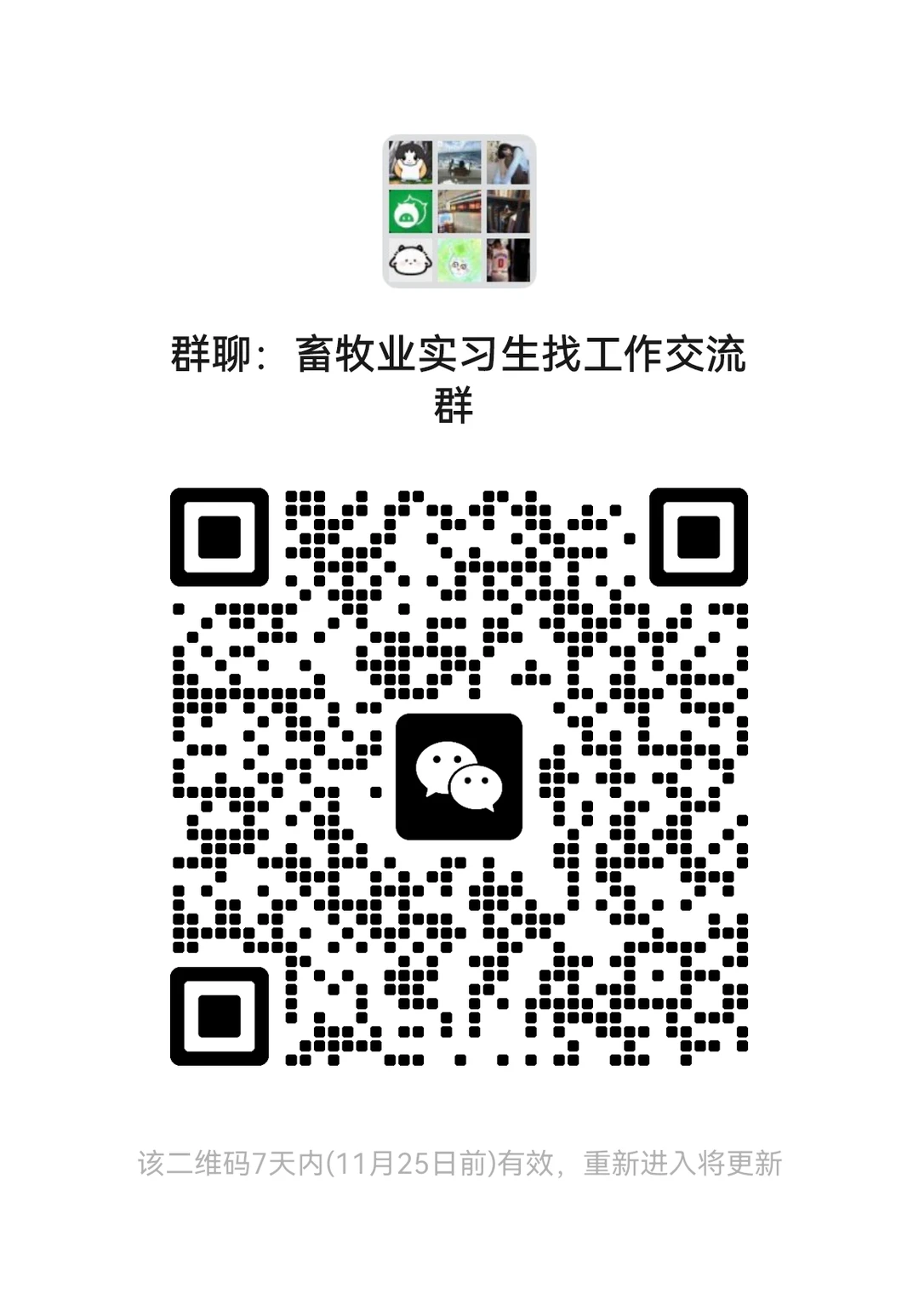 猪场招工了，想找猪场工作的进