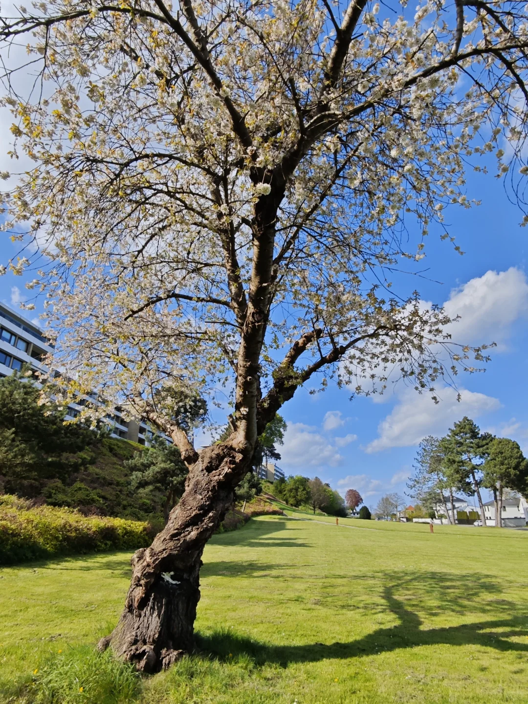 林学人的外业照片🌲