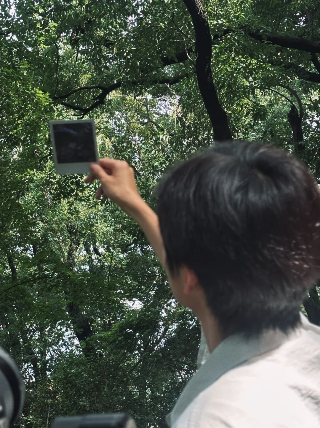 我在林学院失业但快乐的日子。