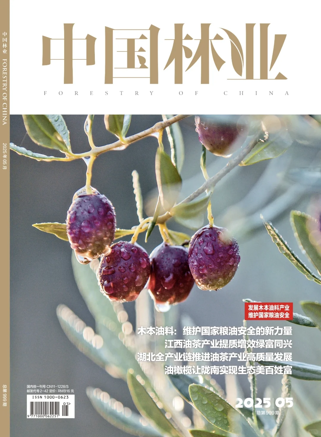 《中国林业》杂志🈶生态文学栏目