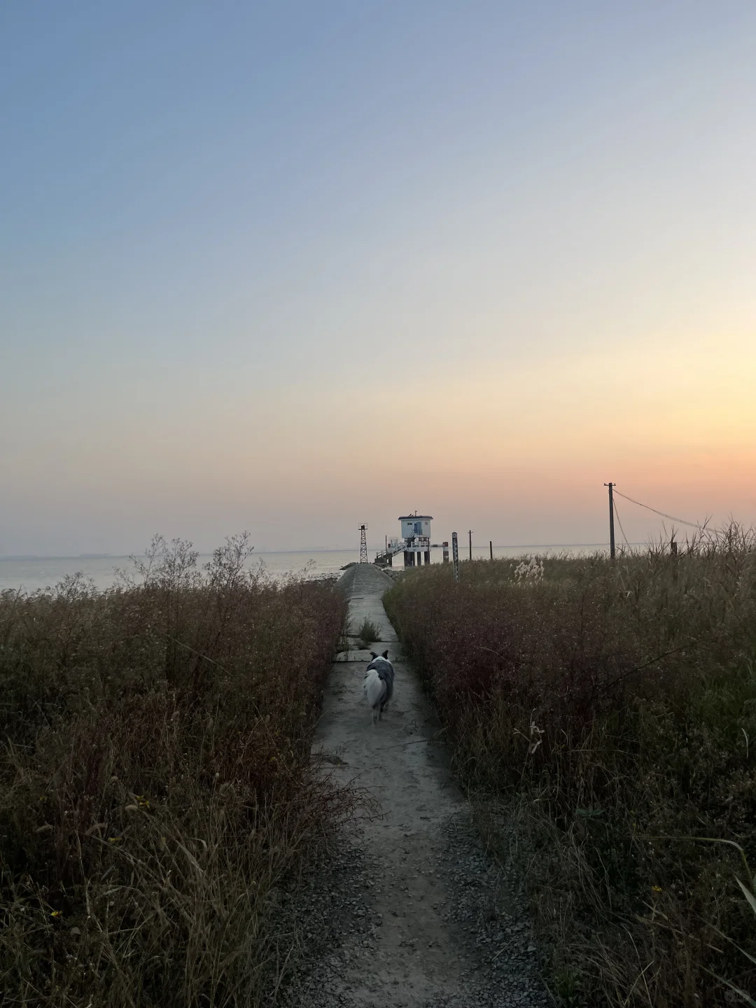 崇明超小众丁坝日落点｜向化镇渔业村