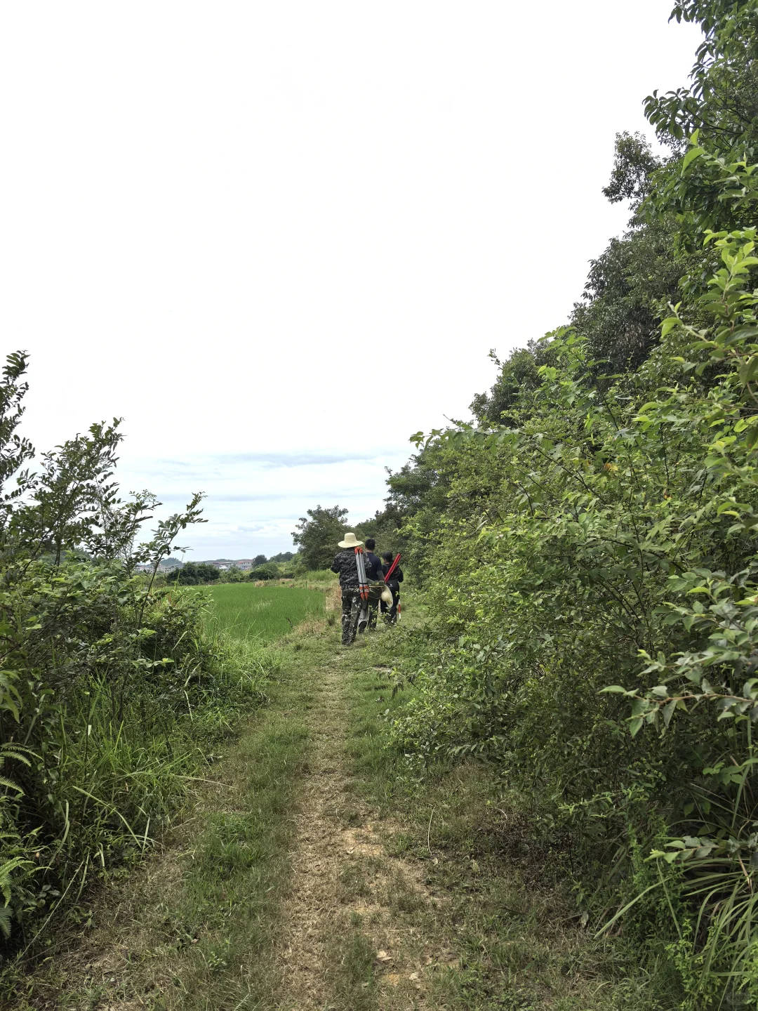 林业调查女生！今天是去赶野味的野人！