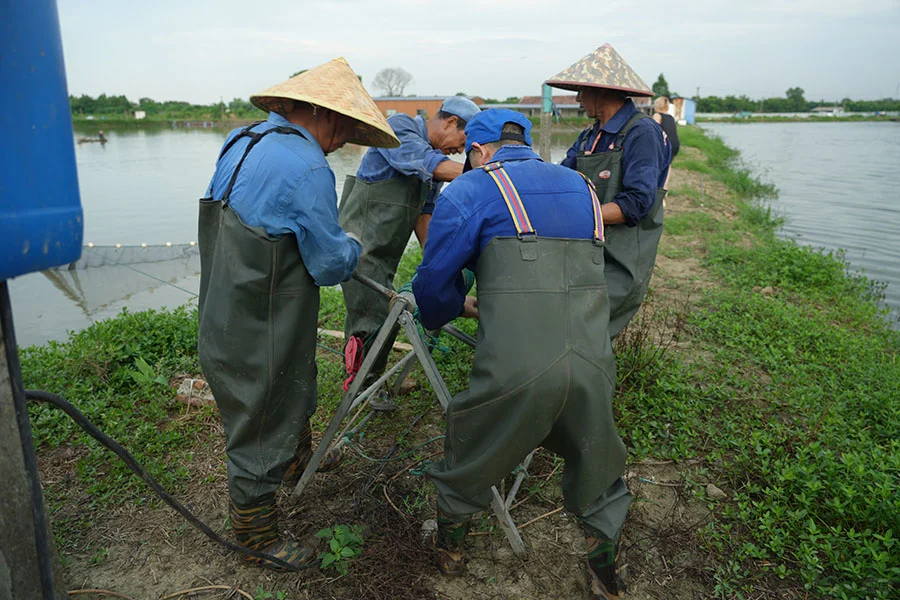 第三日探索：探秘善琏鱼塘 奏响渔牧新章