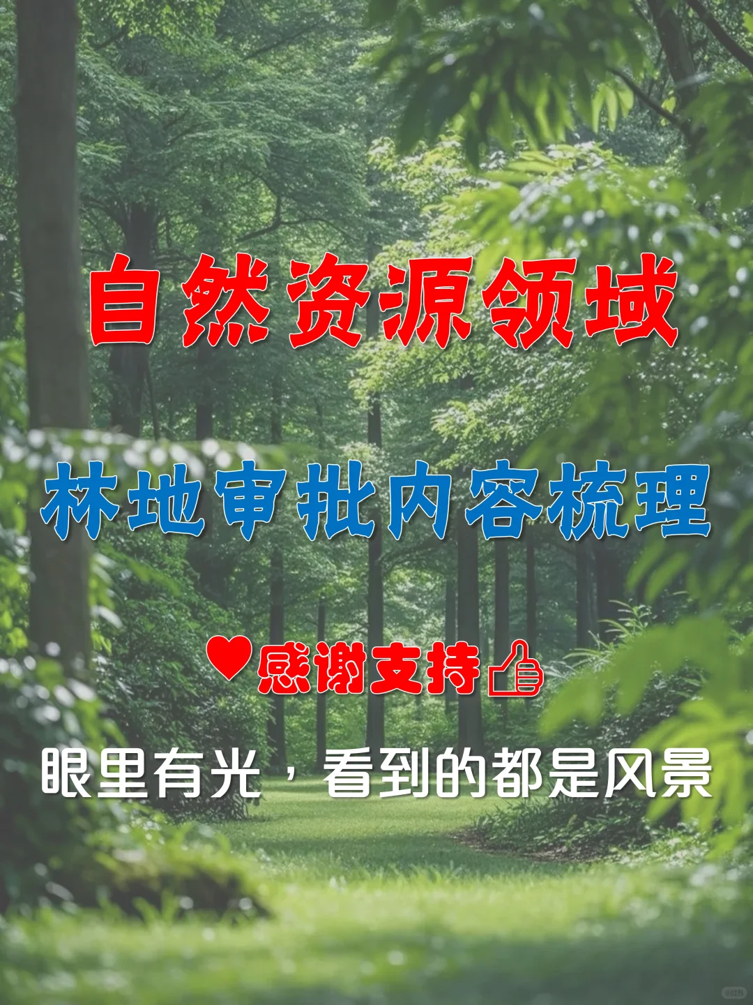 有关林地使用审批内容的梳理