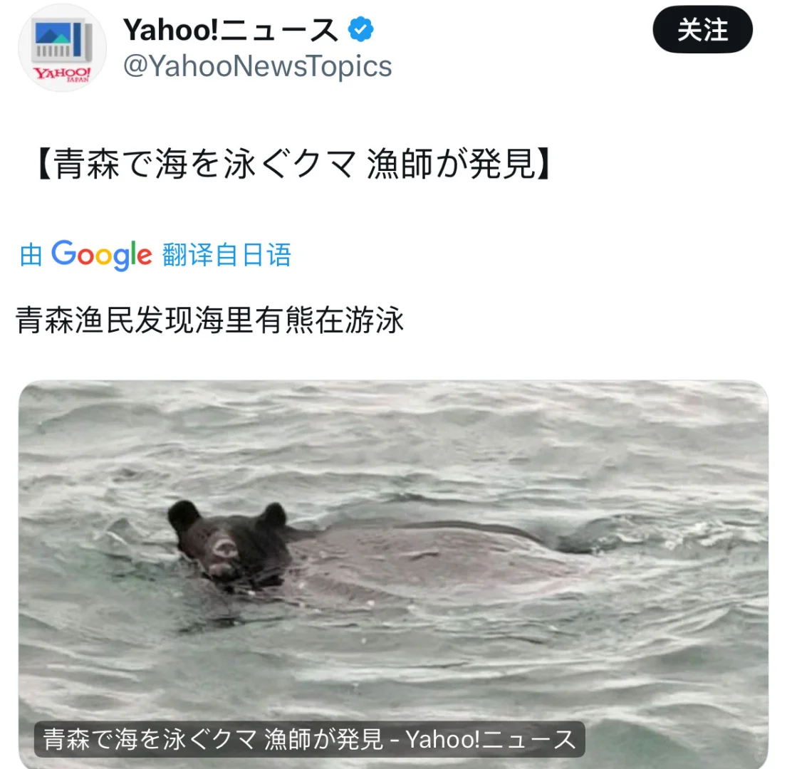 好了，现在🇯🇵陆地和海里都有🐻了