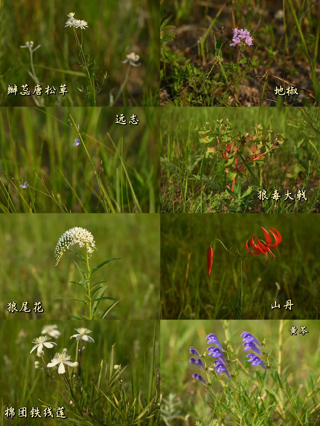 林业人的命也是命