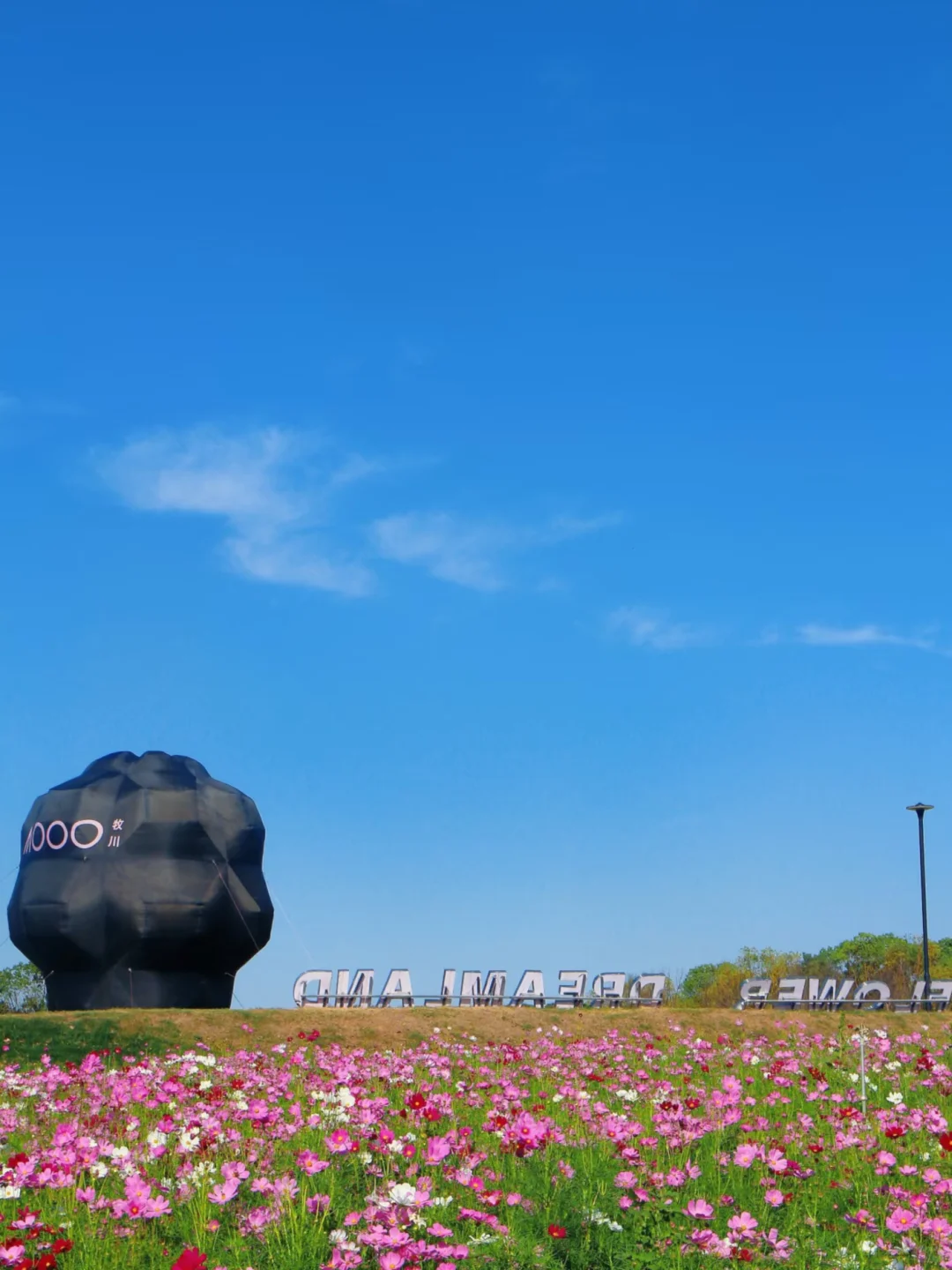 武汉蔡甸有个爆火的“济州岛”小村庄你知道吗